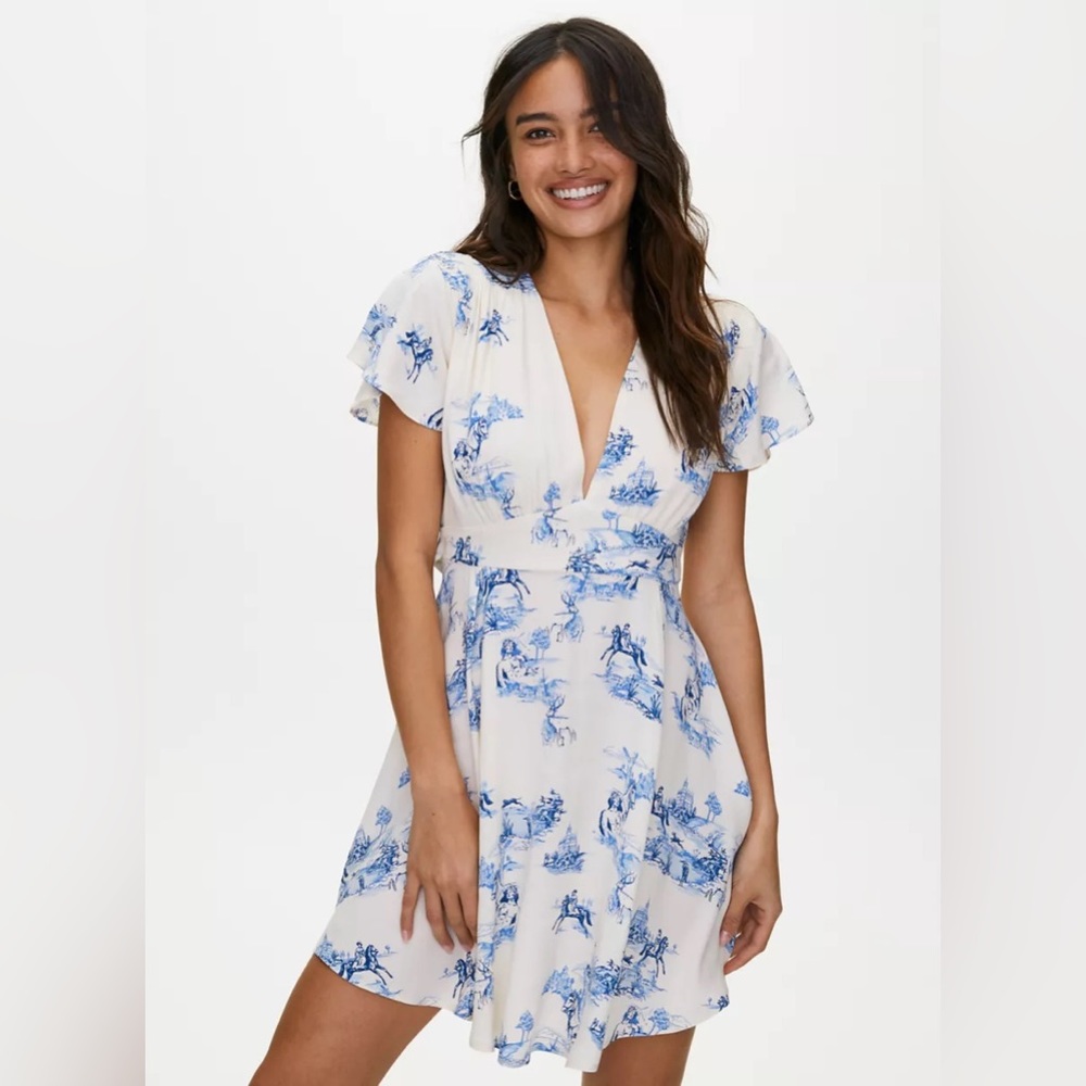 Aritzia Sunday Best Vanessa Dress